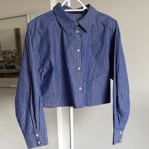 Zara Blue Pinstripe Cropped Button-Down Shirt